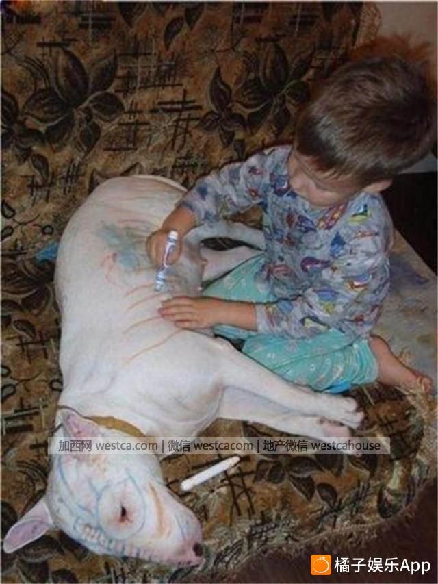 把孩子留在家中 世界就天翻地覆了 - 妮子 - 妮 把孩子留在家中 世界就天翻地覆了 - 妮子 - 妮