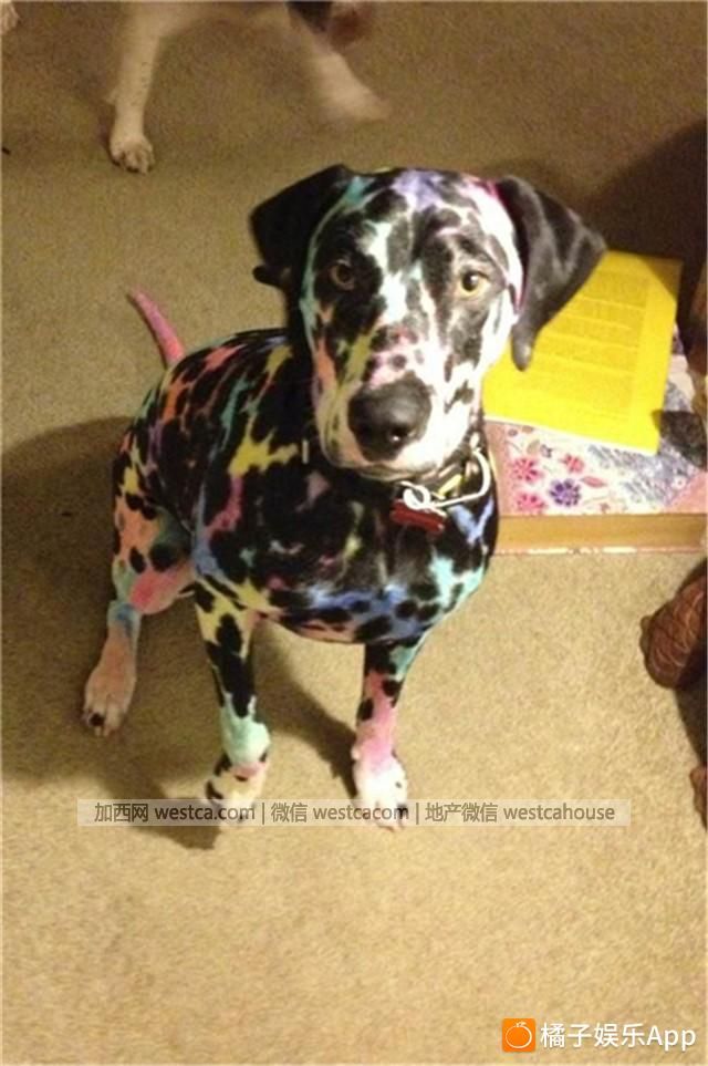 把孩子留在家中 世界就天翻地覆了 - 妮子 - 妮 把孩子留在家中 世界就天翻地覆了 - 妮子 - 妮